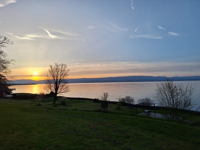 IMG 20240412 WA0001